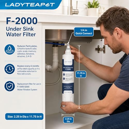 F 2000 Water Filter (2 Count)