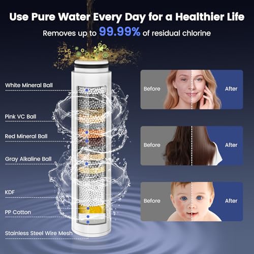 Filtered Shower Head with Handheld