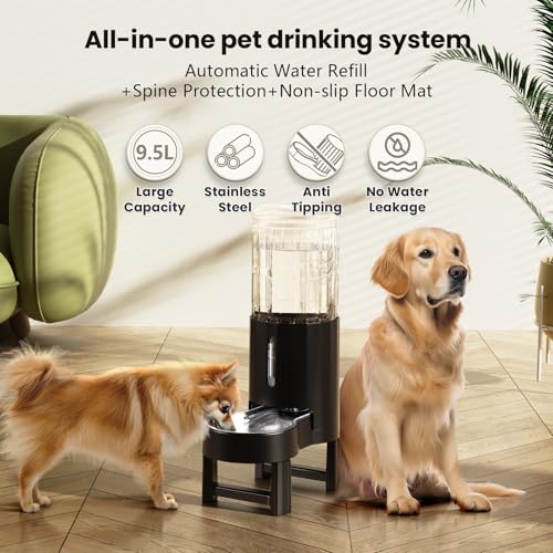 Elevated Dog Water Bowl Dispenser for Large Dogs