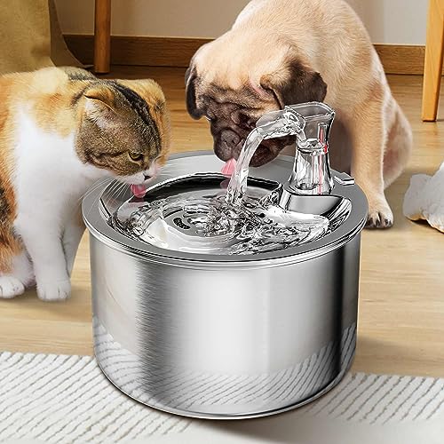 Cat Water Fountain