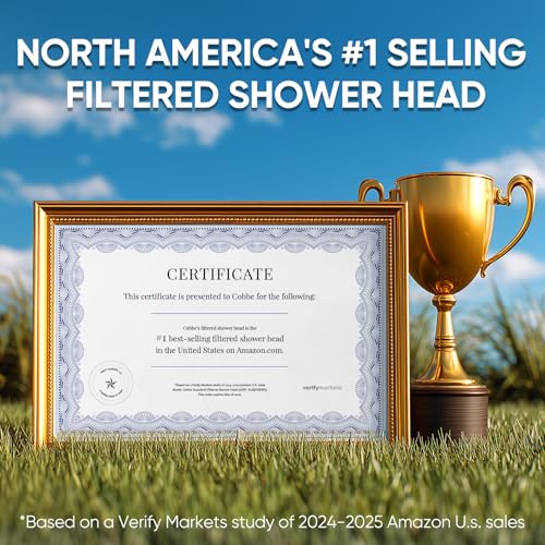 Filtered Shower Head with Handheld