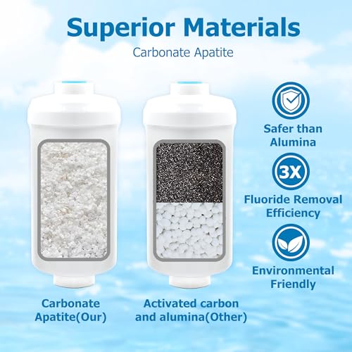 Fluoride Water Filter (2 Count)