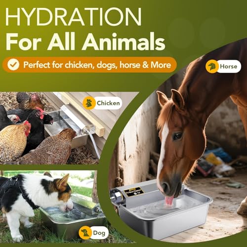 Automatic Water Dispenser for Dogs 2 Gallons