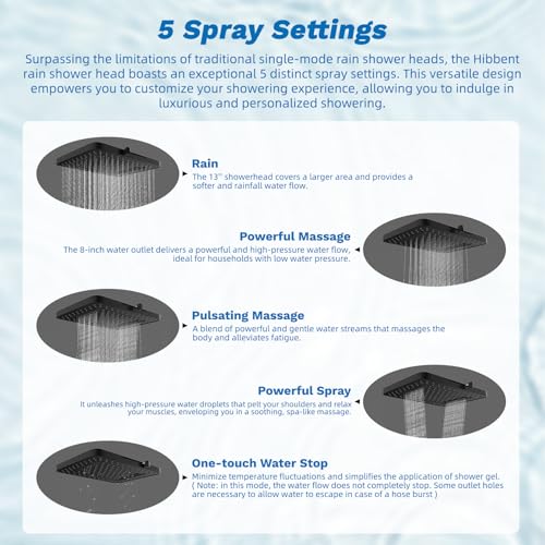 5 spray Dual Filtered Rainfall Shower Head with 10 Spray Handheld