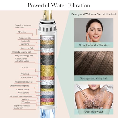 Filtered Shower Head with Handheld