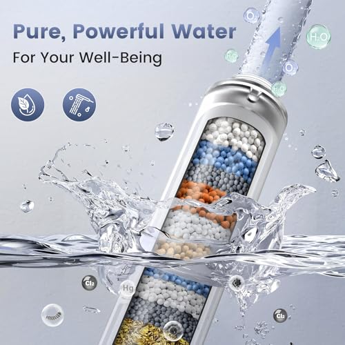 Filtered Shower Head with Handheld