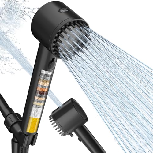 Filtered Shower Head with Handheld