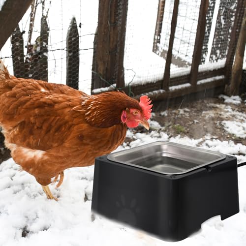 Large Heated Water Bowl for Outdoor Pets