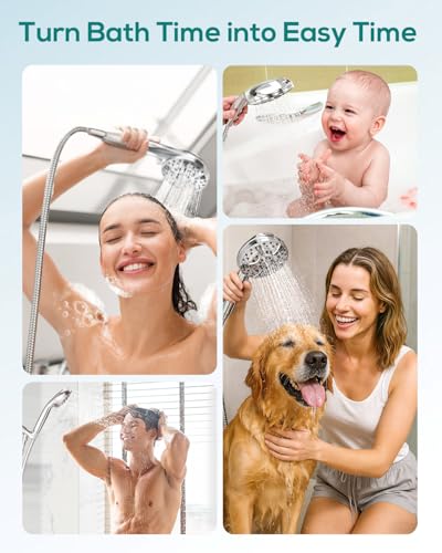 Filtered Shower Head with Handheld