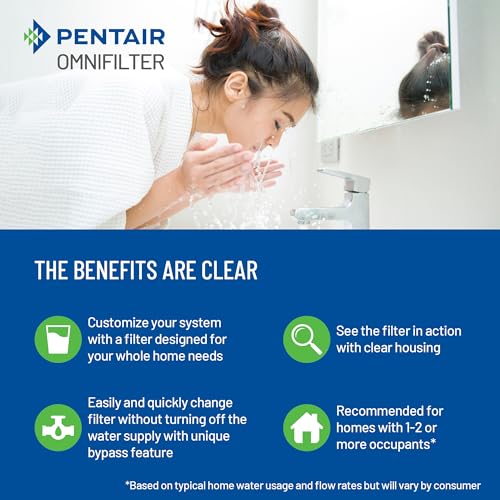 Pentair OMNIFilter Whole Home Valve