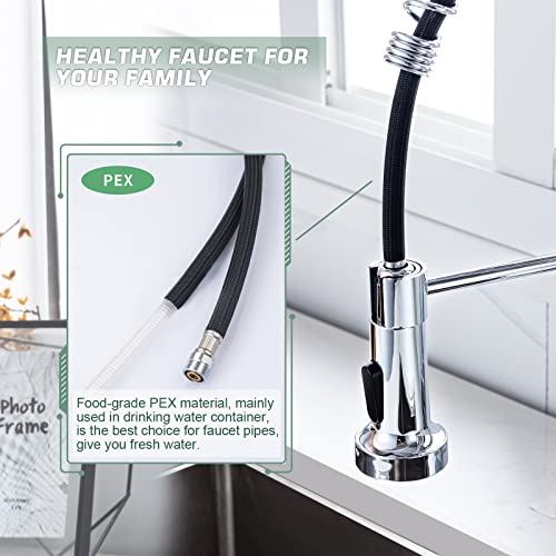 Pull Down Kitchen Faucet