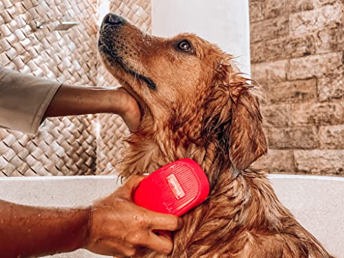 Dog Bath Brush