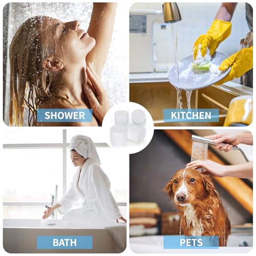 Shower Filter