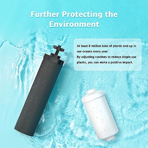 Black and Fluoride Water Filter (4 Count)