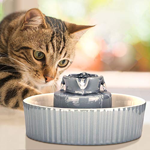 Ceramic Cat Water Fountain