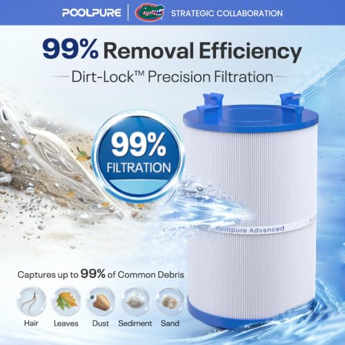C 7367 Spa Filter Replaces PD075