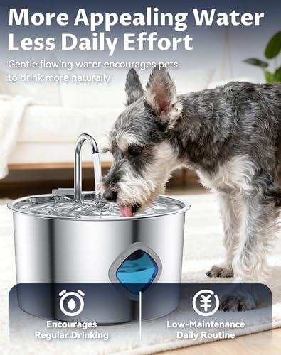 Dog Water Bowl