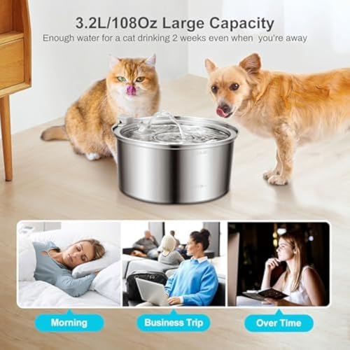 Dog Water Fountain