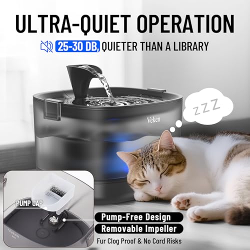 85oz 2.5L Cat Water Fountain with Detachable Tank