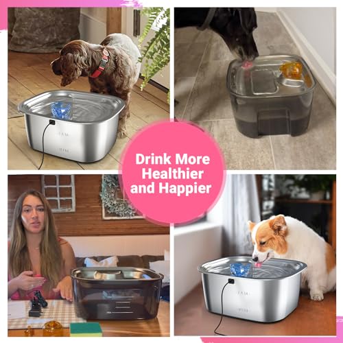 Replacement Filters for PETDOTT Dog Fountain (399 Ounce)