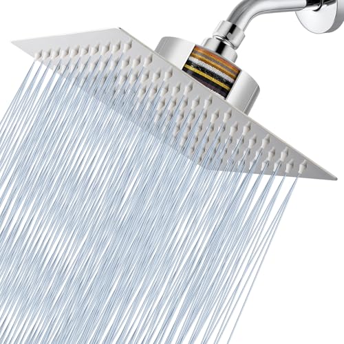 Rain Shower Head with Filtered