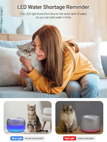 3.5L Cat Water Fountain