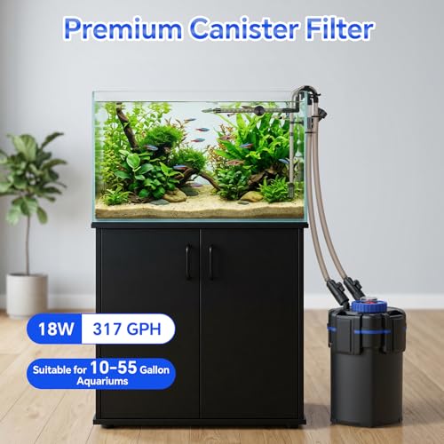 Canister Filter