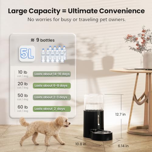 Automatic 5L Filter Dog and Cat Water Dispenser