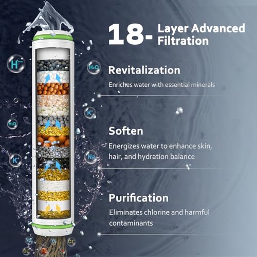 Filtered Shower Head with Handheld