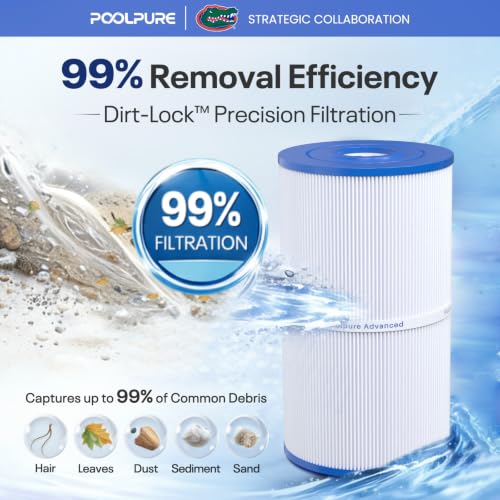 C 6430 Spa Filter Replaces 31489 (3 Count)
