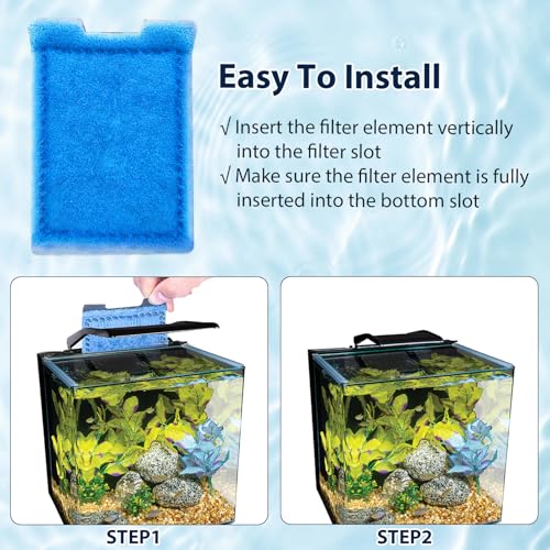Fish Tank Rite (8 Count)