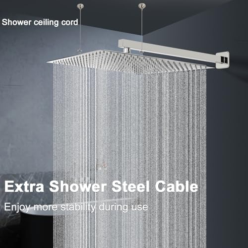 Shower Head with Extension Arm