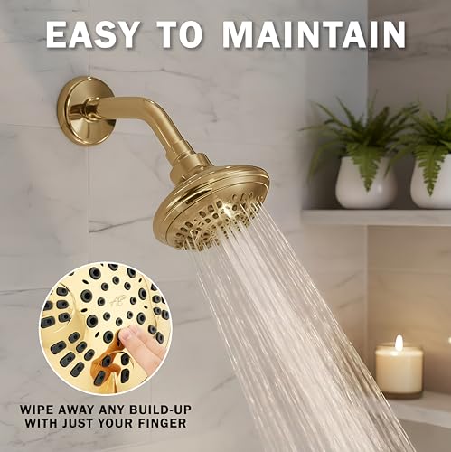 6 Function Luxury Shower Head