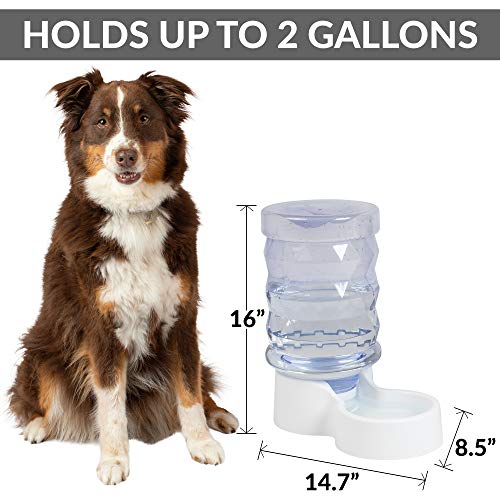 H2O Gravity Pet Water Dispenser