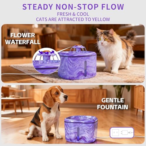 Cat Water Fountain Purple