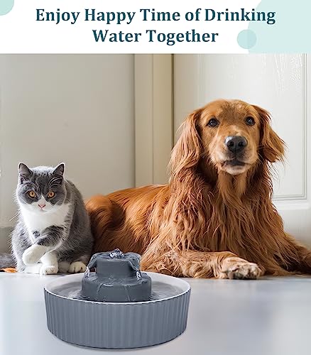Ceramic Cat Water Fountain