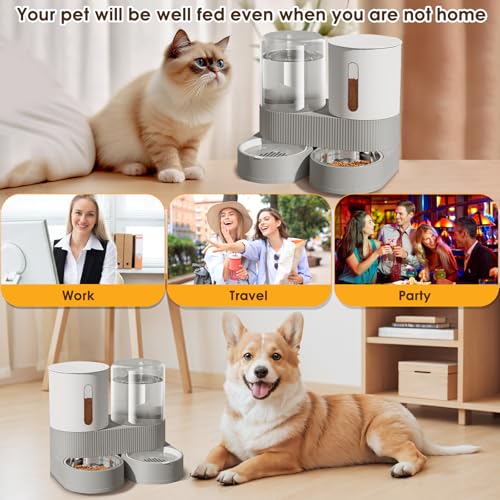 2 in 1 Automatic Gravity Cat Dog Feeder and Water Dispenser with 304 Stainless Steel Bowls