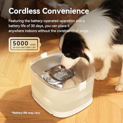 Pumpless Dog Water Elfin Fountain