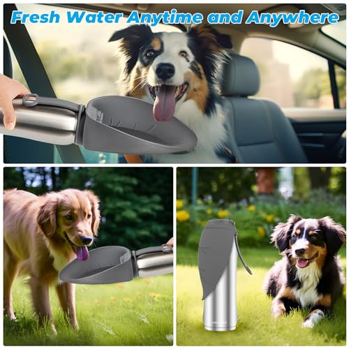 Insulated Dog Water Bottle (27 Fl Oz)