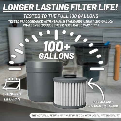 REPLACEMENT FILTER for Epic Nano XP Water Filter Pitcher or Dispenser. Nanofiltration Removes Bacteria