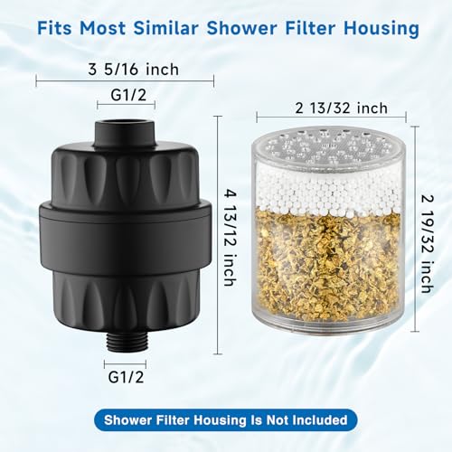 Shower Filter