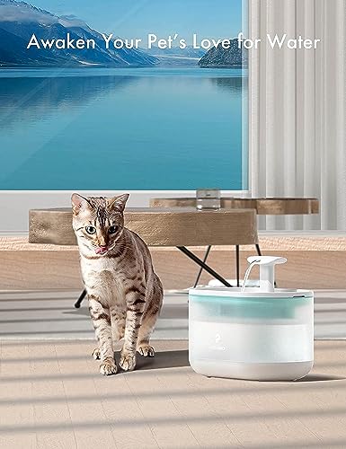 Replacement Pump for Cat Water Fountain