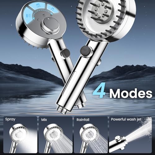 Filtered Shower Head with Handheld