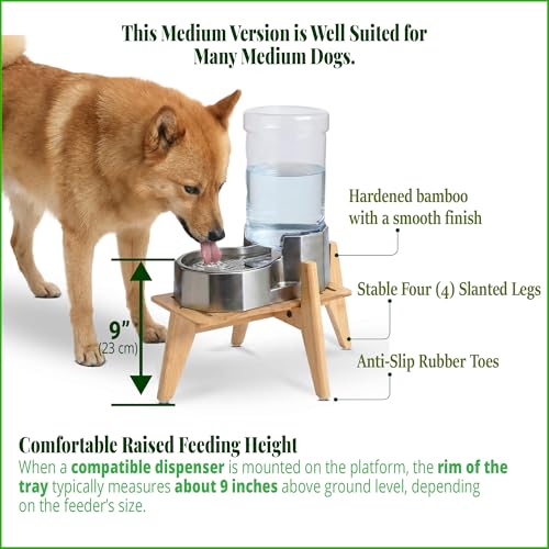 Dog Water and Food Dispenser Stand for Medium Dogs