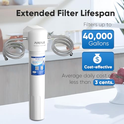 WFS5300A 20 5 Years Under Sink Water Filter System