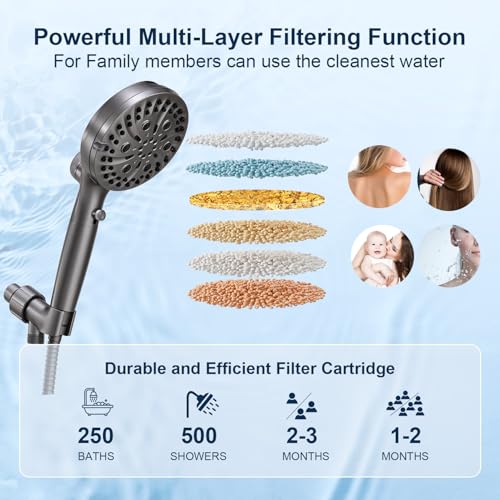 Filtered Shower Head with Handheld