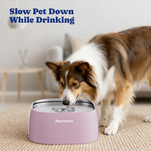 All Stainless Steel Dog Water Bowl No Spill