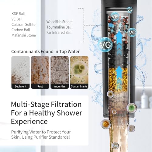 Filtered Shower Head with Handheld