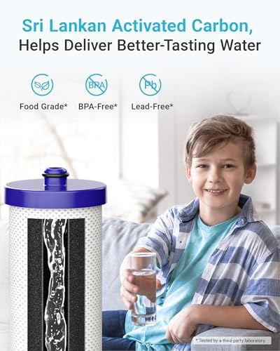 WF1CB Refrigerator Water Filter (3 Count)