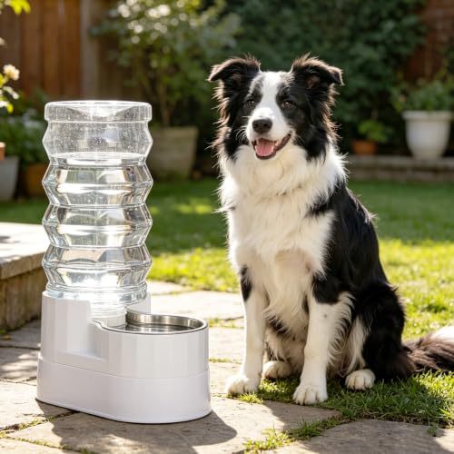 9L Elevated Dog Water Dispenser